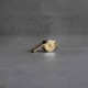 Apito Air Ministry 60.5 Brass